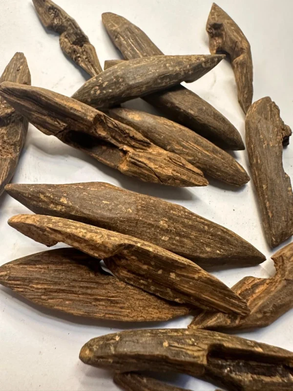 عود محسن فاخر