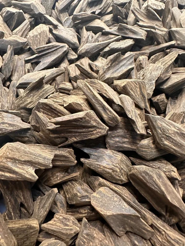 عود محسن B101