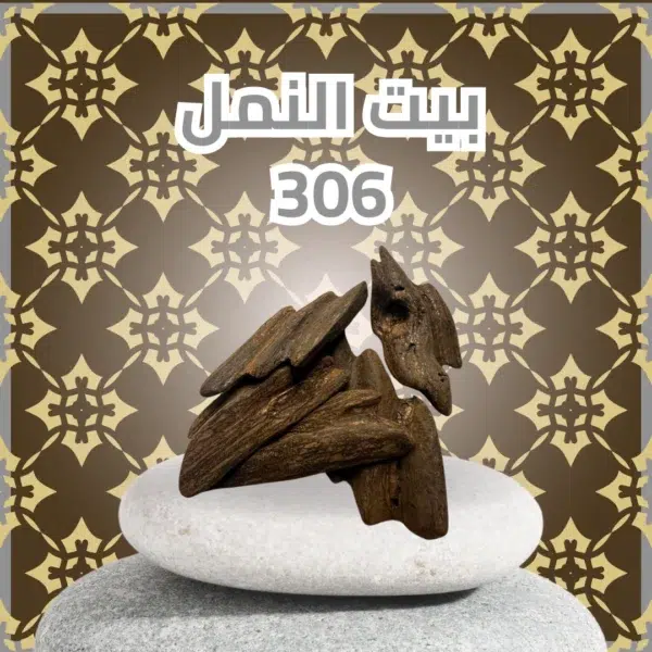 محسن بيت النمل 306