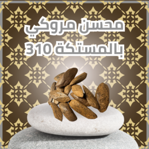 محسن مروكي بالمستكة 310